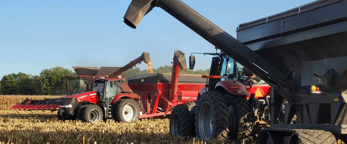combines harvesting grain into grain trucks