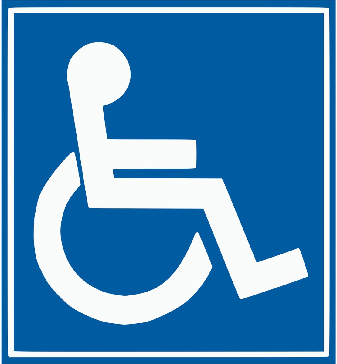 handicap icon